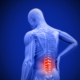 Rockville Chiropractor Discusses the Immune System and Chiropractic