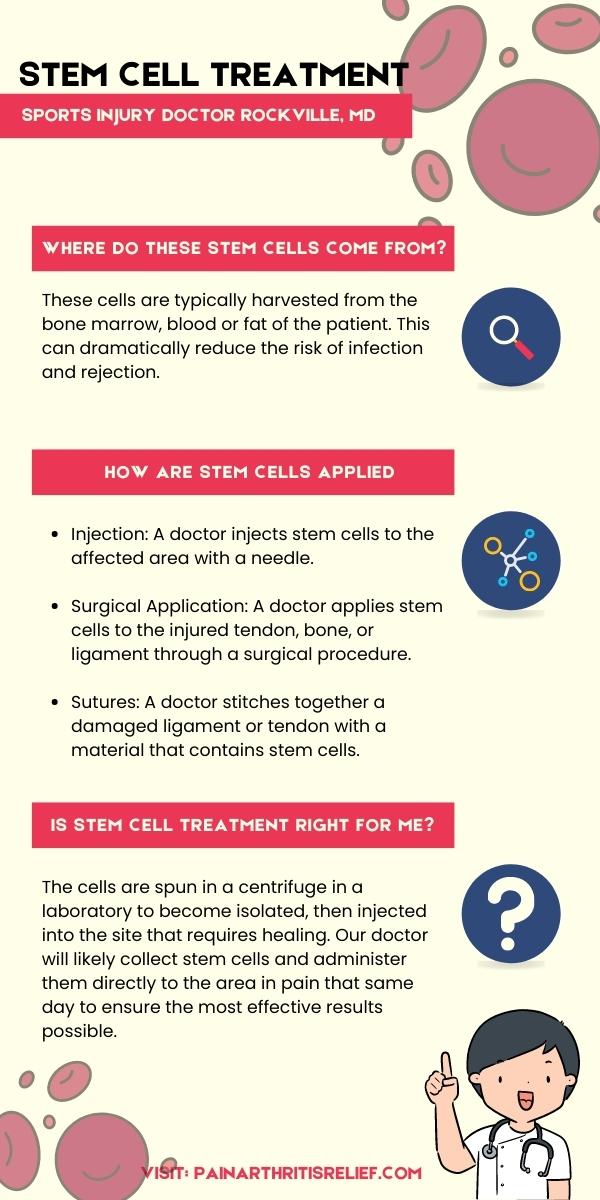 stem cells infographic